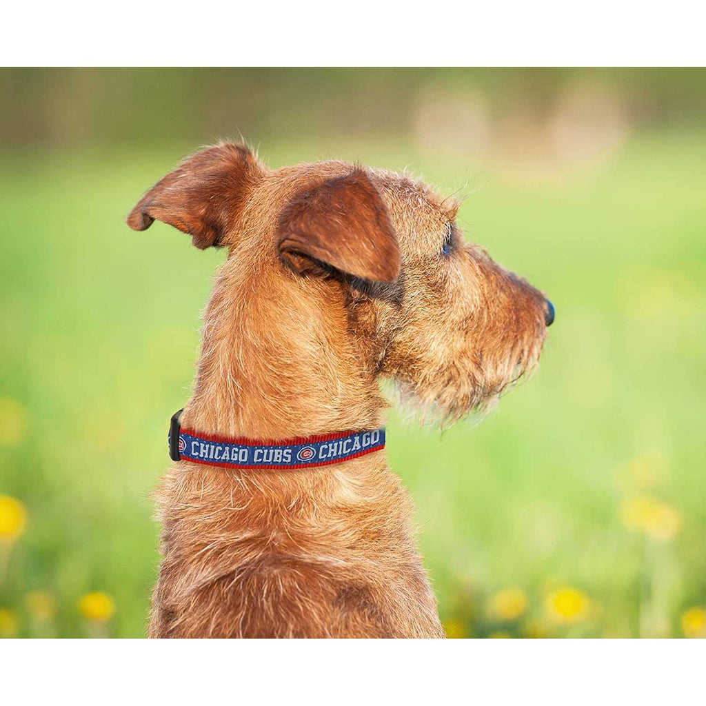 Chicago Cubs Dog Collar D371125