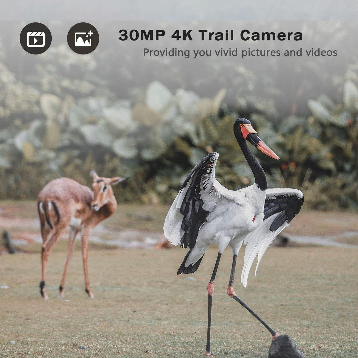 4K 30MP Trail Camera with Night Vision 120° Wide Angle IP66 Waterproof N857200