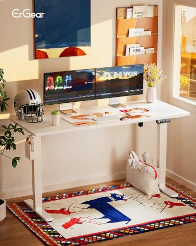 48 x 24 Inches Height Adjustable Electric Standing Desk with Memory Y52397