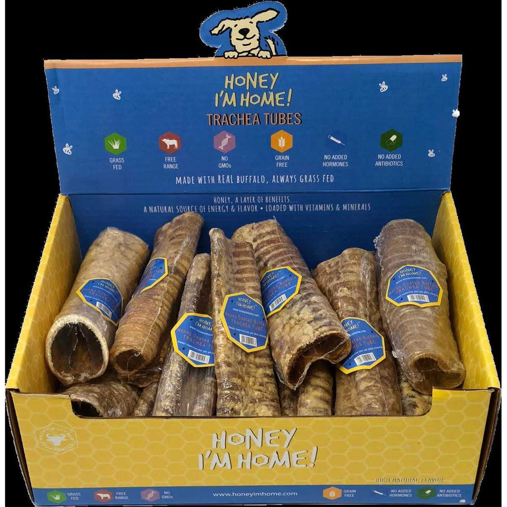 Dog Buffalo Trachea A85379