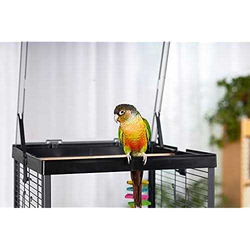 Bird Cage P5215