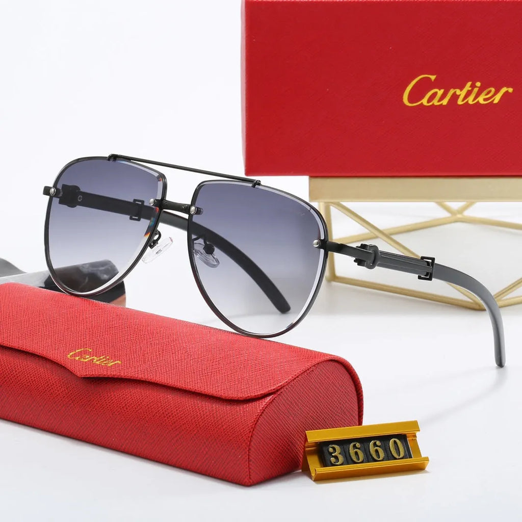 CAR Polarized Sunglasses V8916