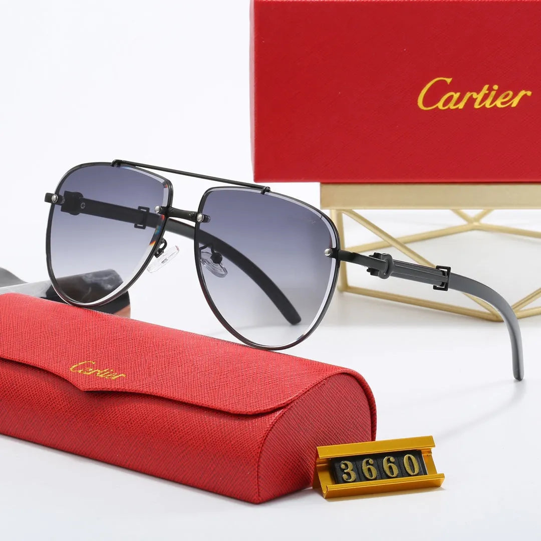 CAR Polarized Sunglasses V8916
