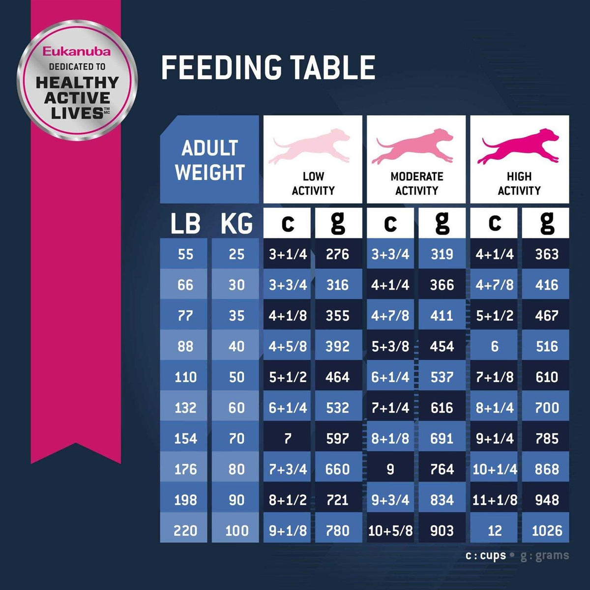Senior Dry Dog Food R703312