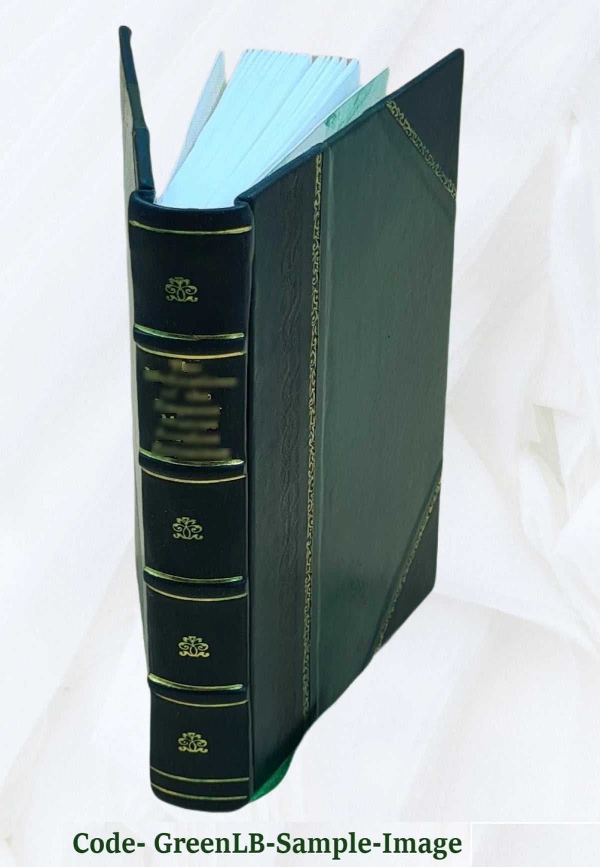 Leather Bound Book B625548