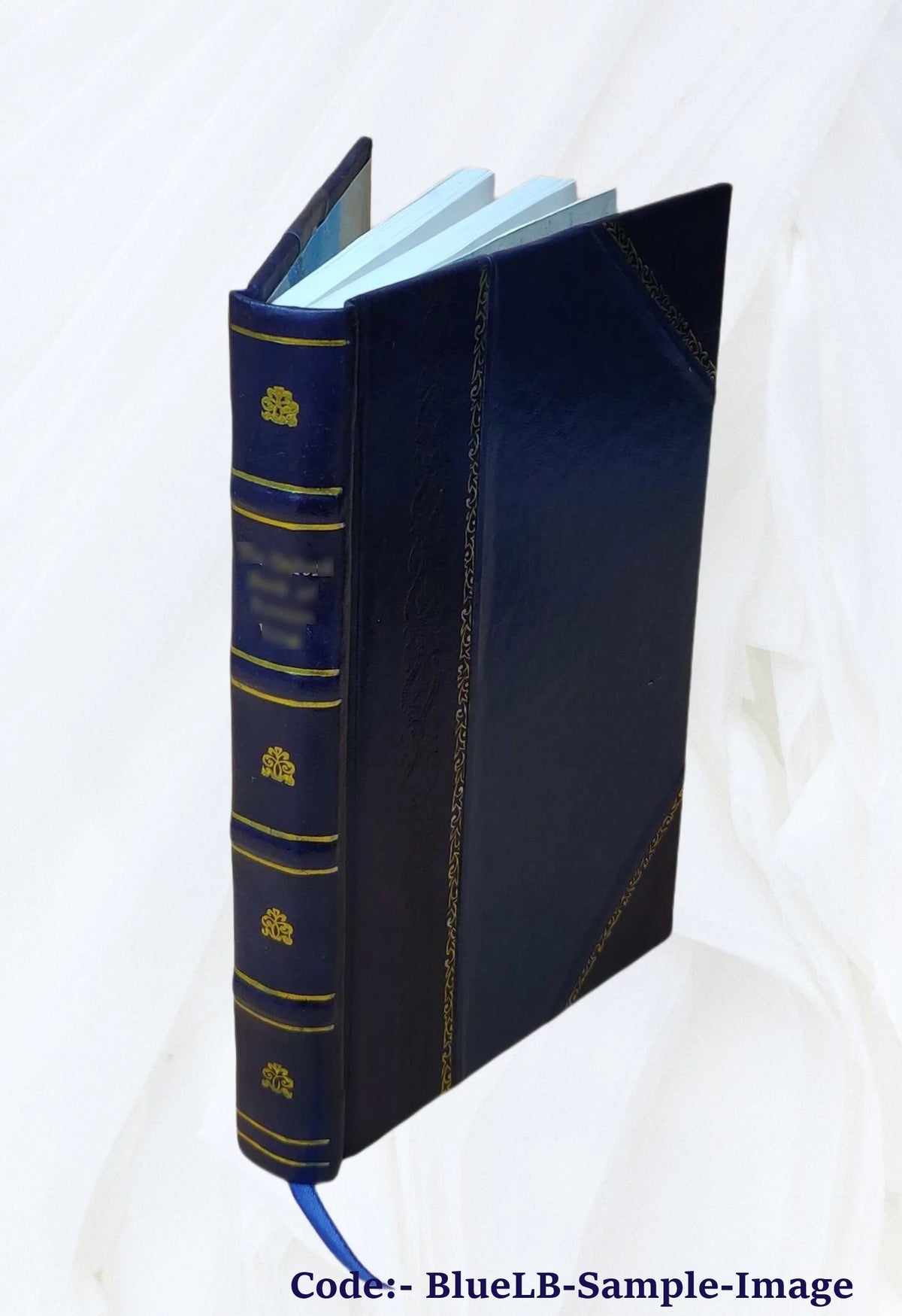 Leather Bound Book P2502