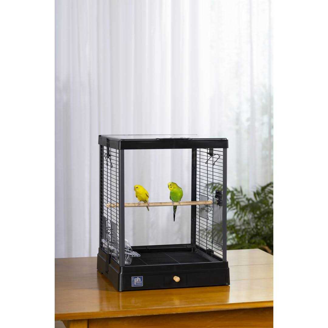 Bird Cage P5215