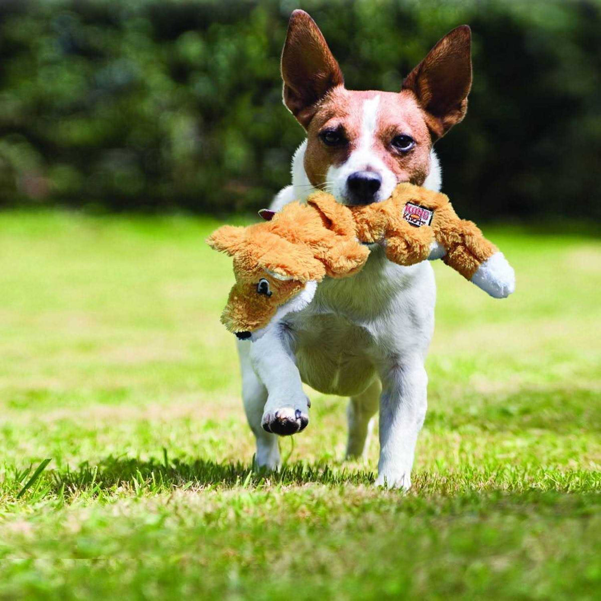 Dog Toy U2108
