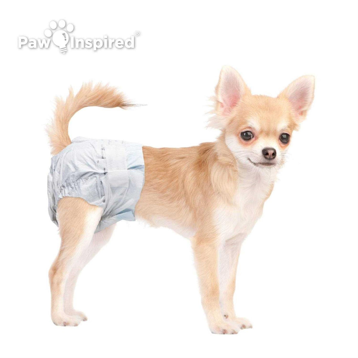 Disposable Dog Diapers M5885