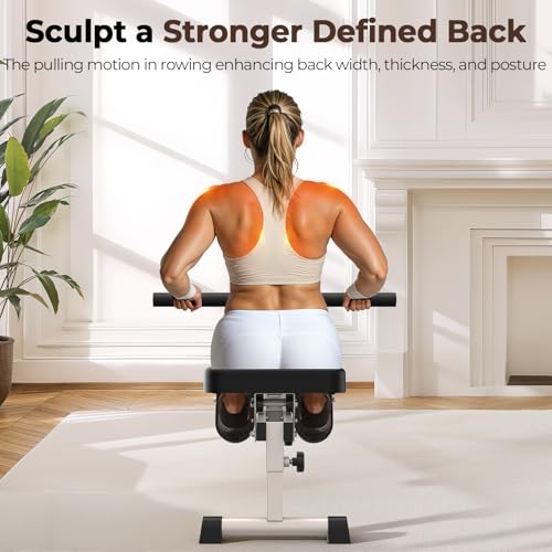 Compact Adjustable Rowing Machine 300LBS Weight Capacity 12 Levels Resistance Foldable Hydraulic Rower I565013