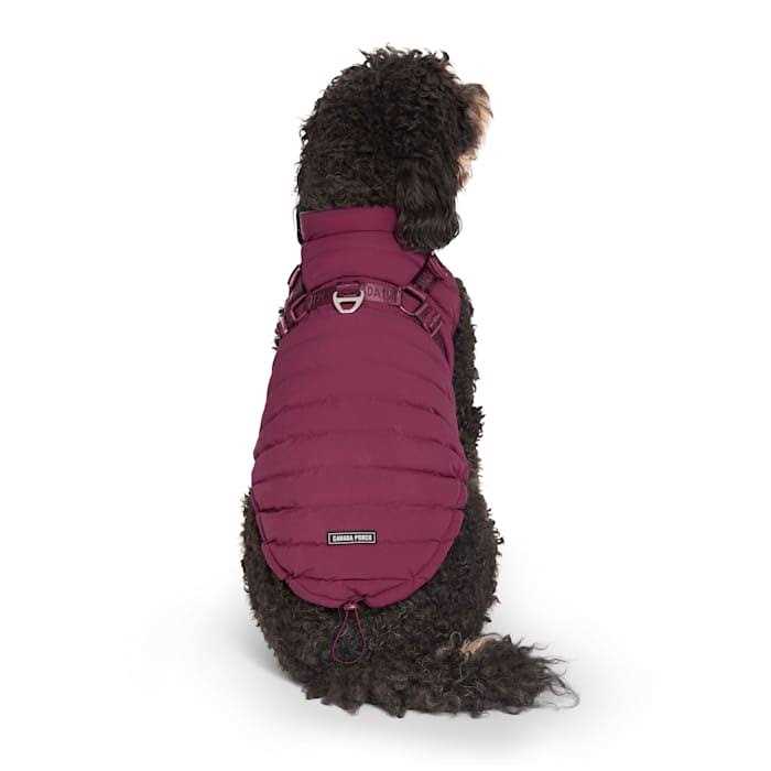 Black Puffer Harness V989284