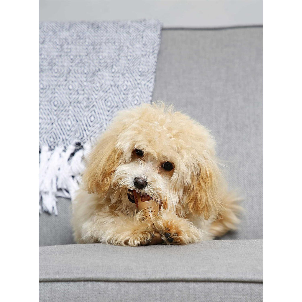 Chicken Flavored Dog Treat & Chew Toy R8238