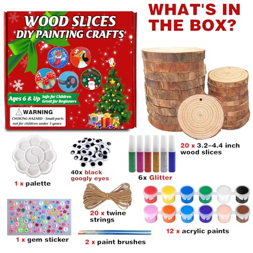 20 Pcs Natural Round Wood Slices Craft Kit Z799