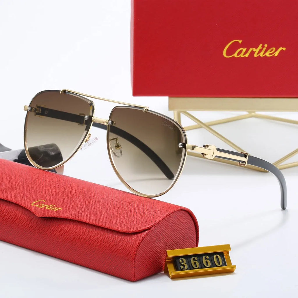 CAR Polarized Sunglasses V8916
