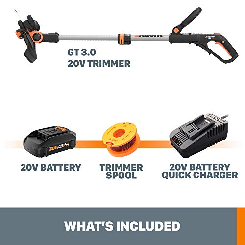 20V Cordless String Trimmer & Edger with Battery and Charger C499