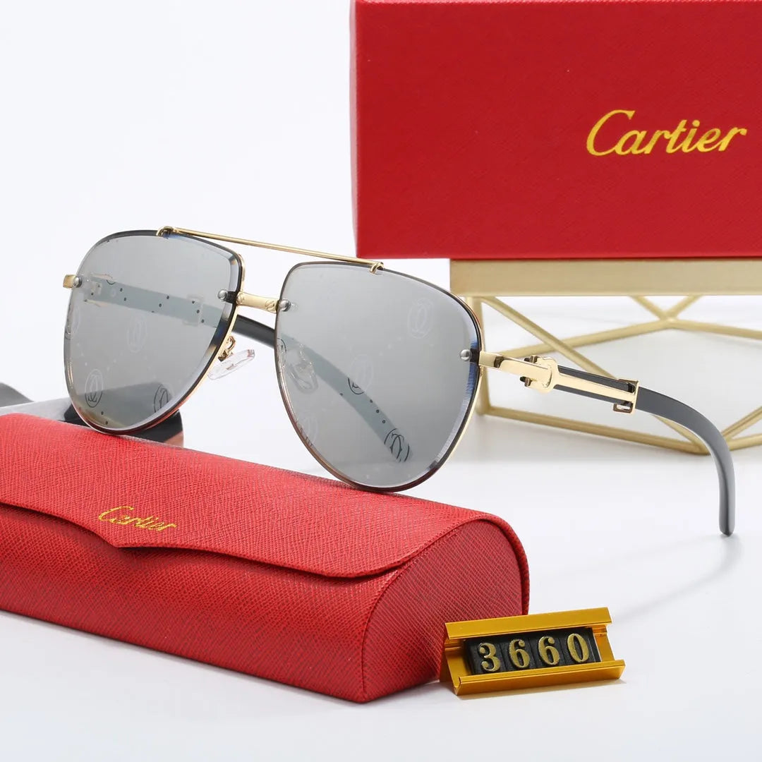 CAR Polarized Sunglasses V8916