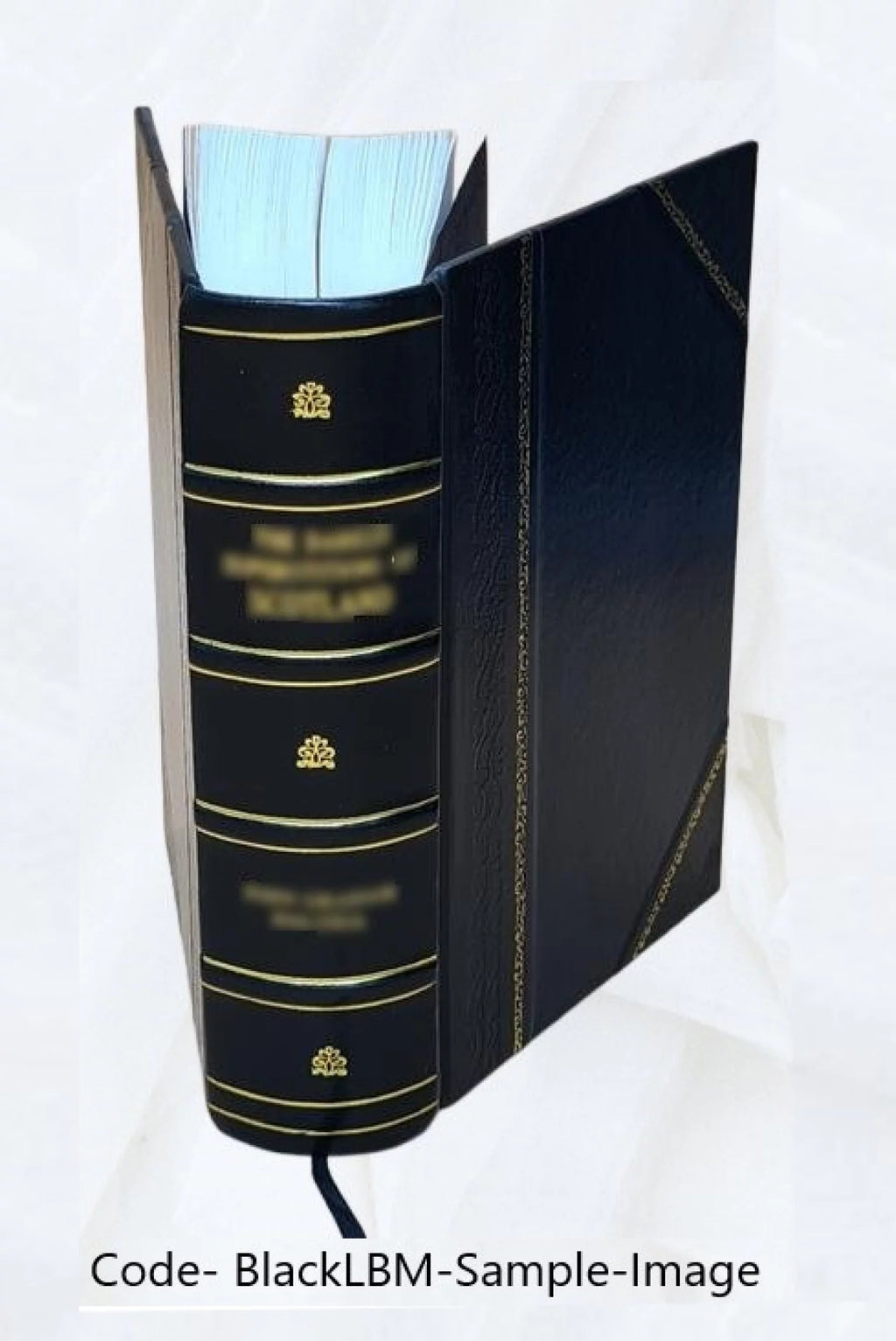 Small Electrical Utilities Nuclear Power Hearings 1968 Leather Bound I806