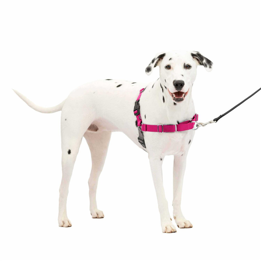 Dog Harness V4157