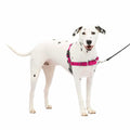 Dog Harness V4157