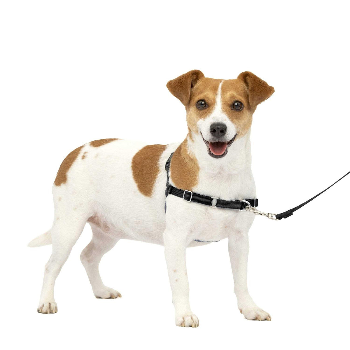 Dog Harness V4157
