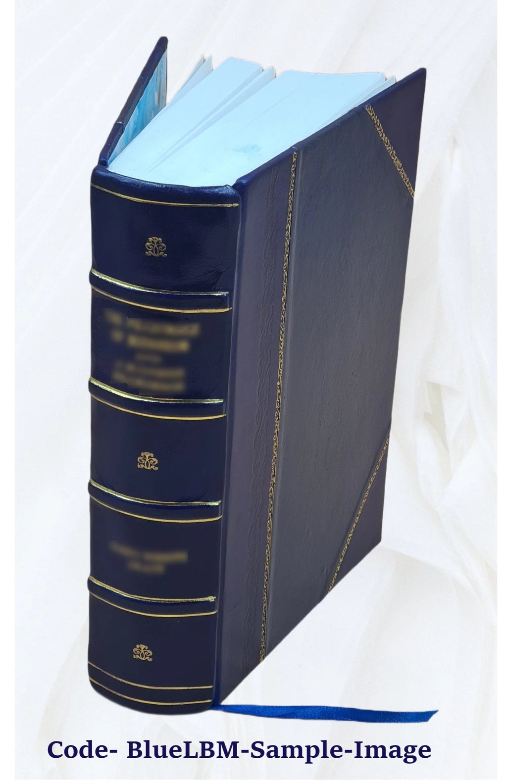 Small Electrical Utilities Nuclear Power Hearings 1968 Leather Bound I806