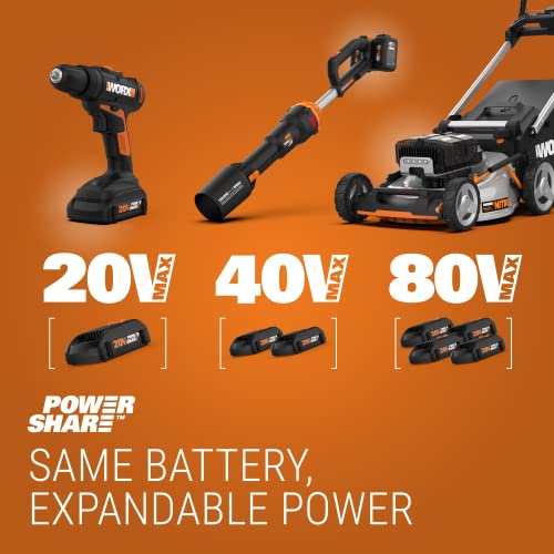 20V Cordless String Trimmer & Edger with Battery and Charger C499