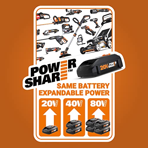 20V Cordless String Trimmer & Edger with Battery and Charger C499