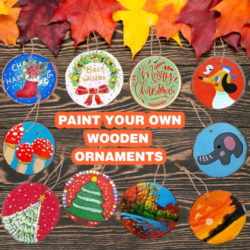 20 Pcs Natural Round Wood Slices Craft Kit Z799