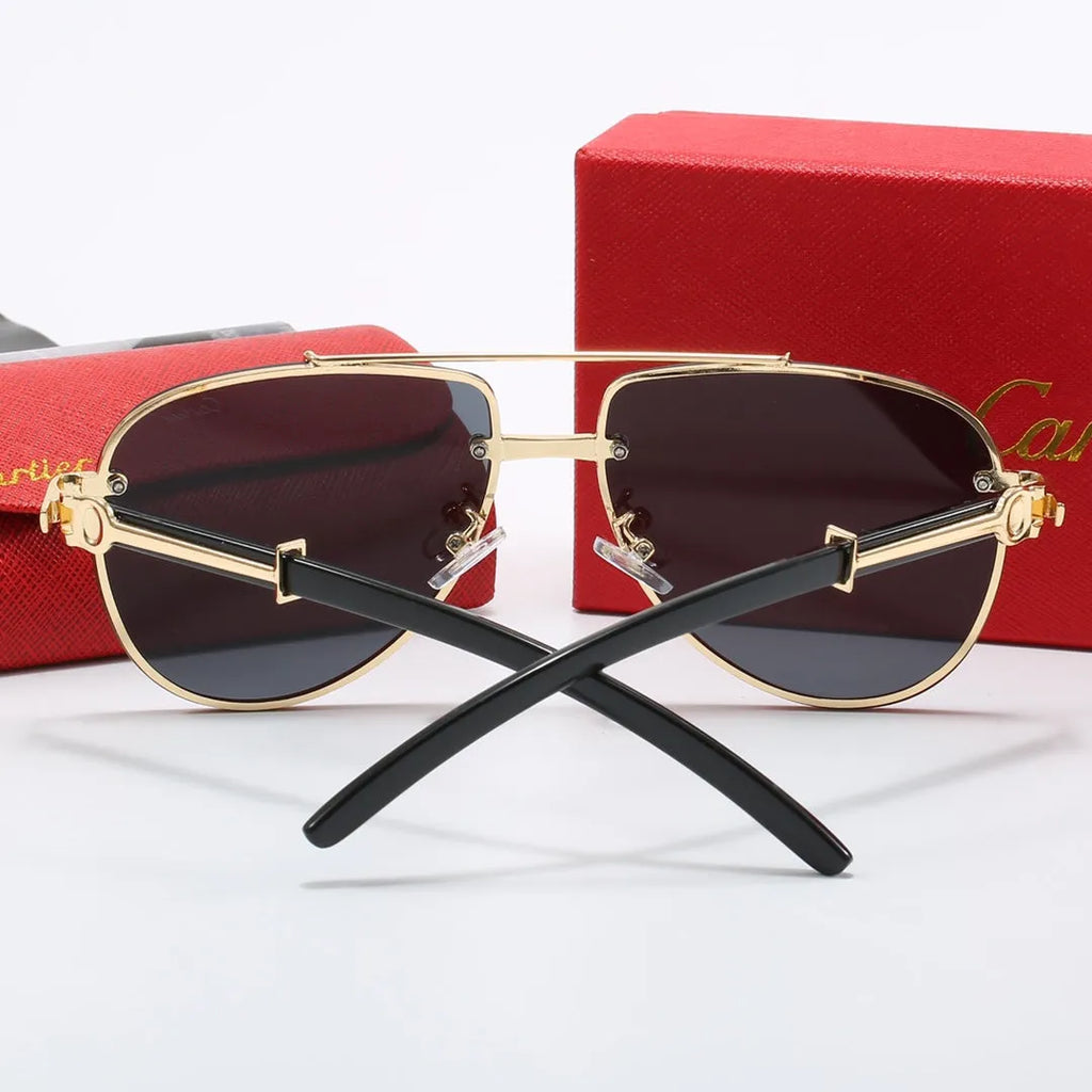 CAR Polarized Sunglasses V8916