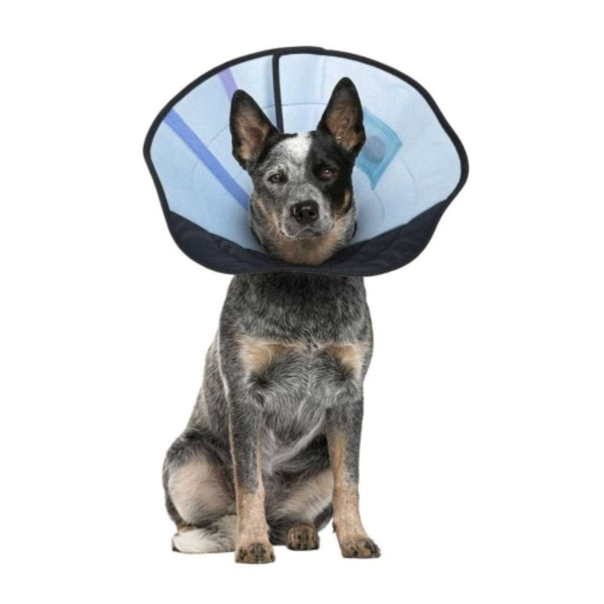 Dog Calming Collar T766