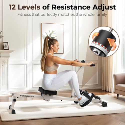 Compact Adjustable Rowing Machine 300LBS Weight Capacity 12 Levels Resistance Foldable Hydraulic Rower I565013
