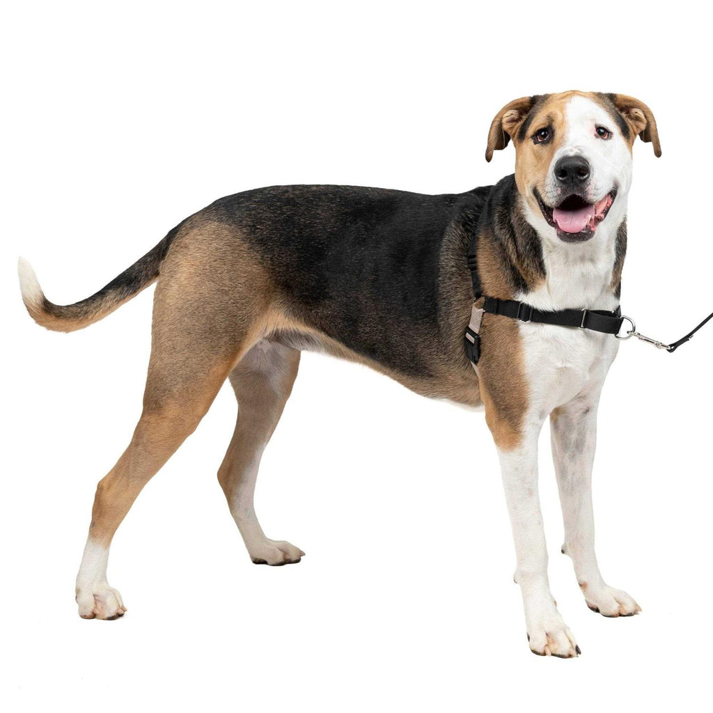 Dog Harness V4157