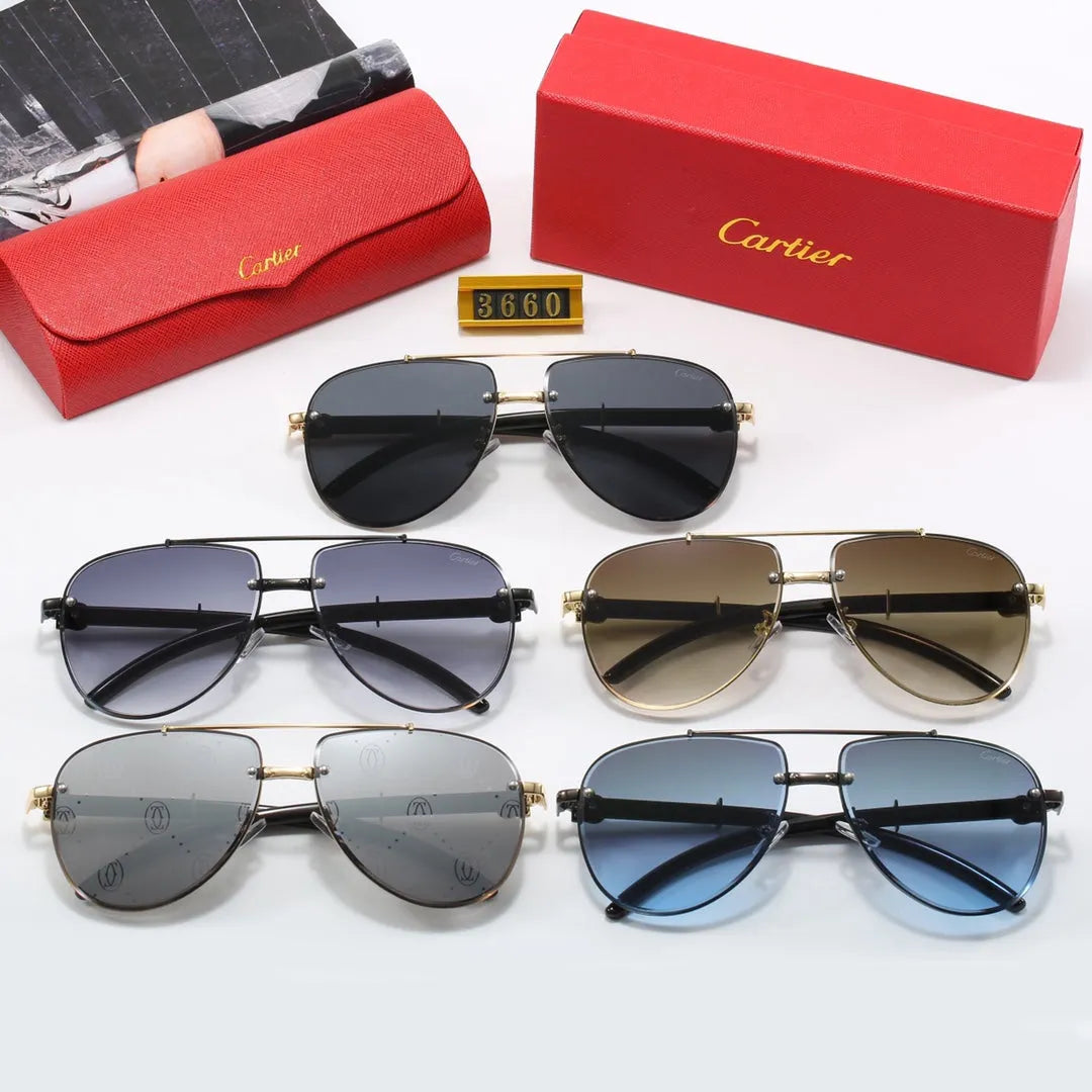 CAR Polarized Sunglasses V8916