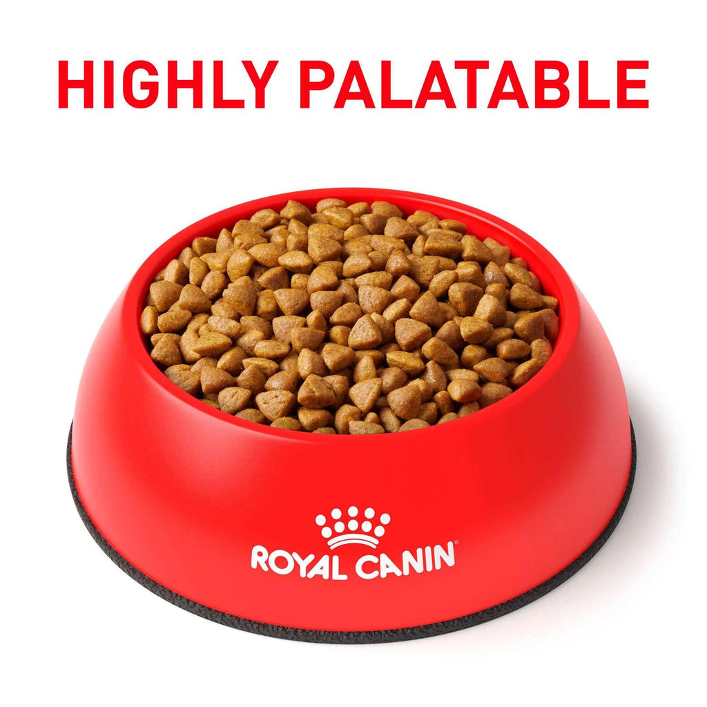 Veterinary Diet Feline Calm Dry Food R5944