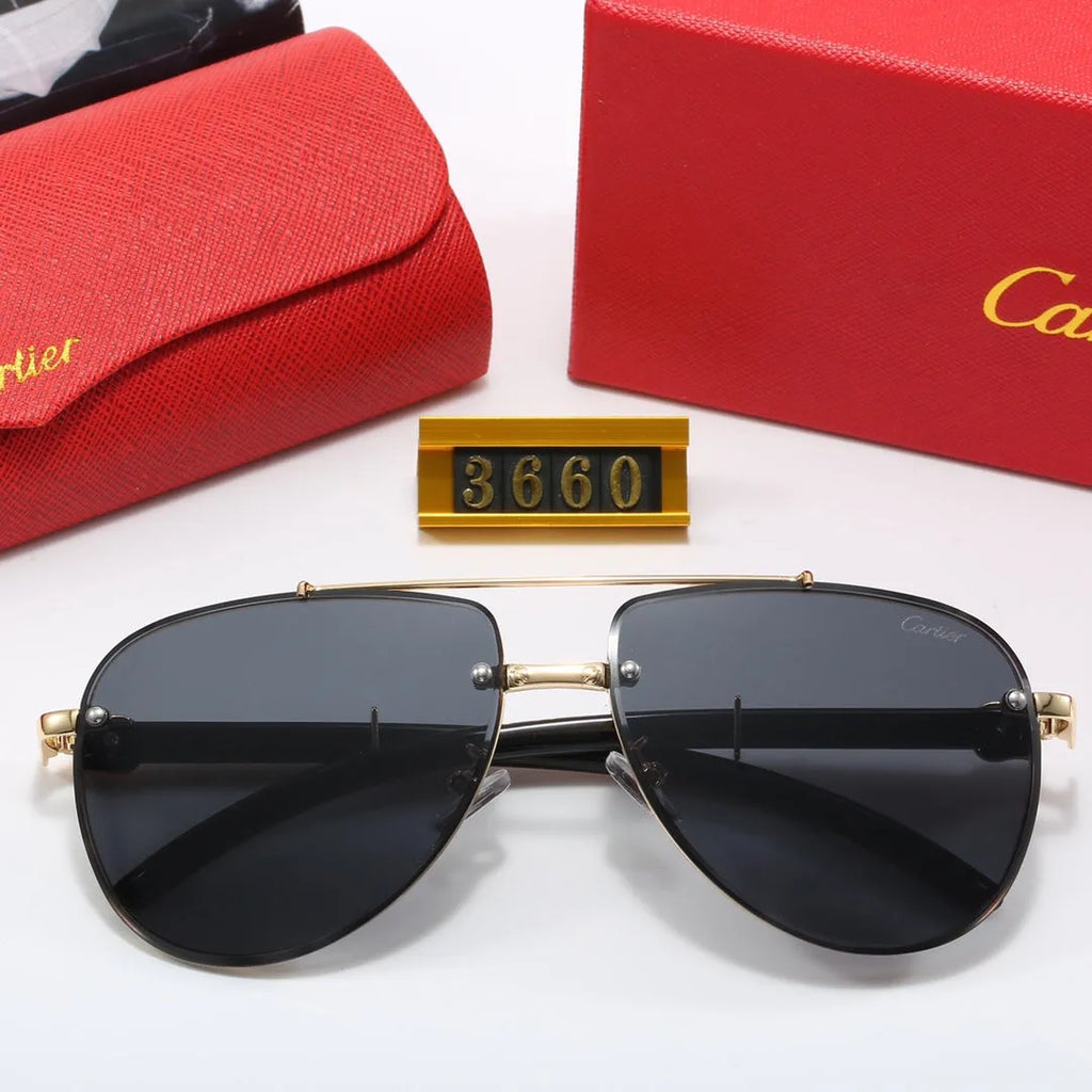 CAR Polarized Sunglasses V8916