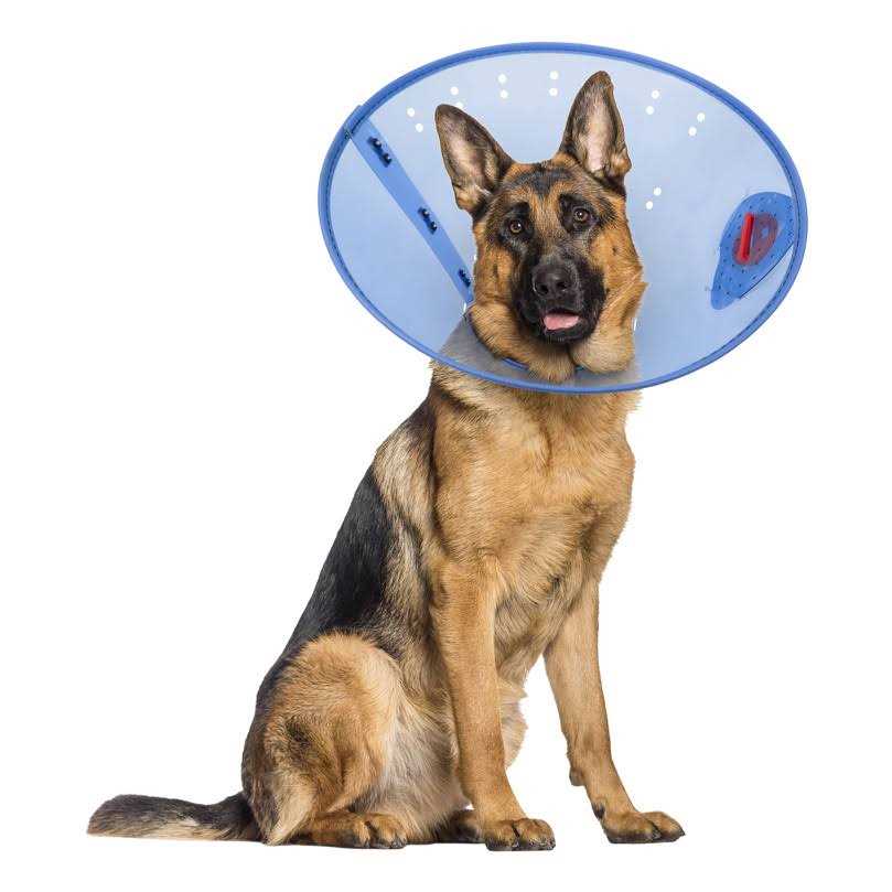 Calming Dog E-Collar L10044