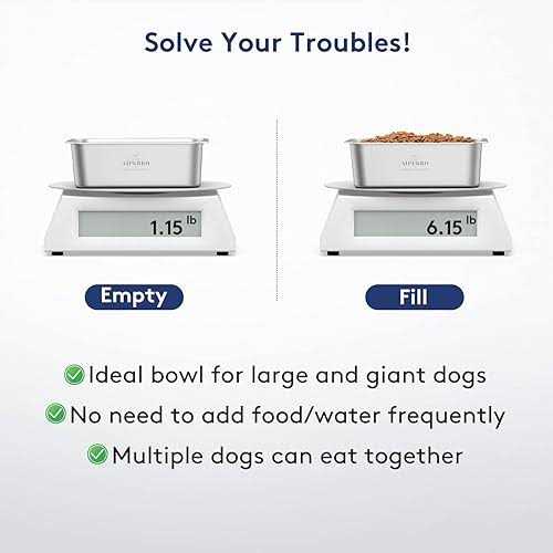 Stainless Steel Dog Bowls V257367