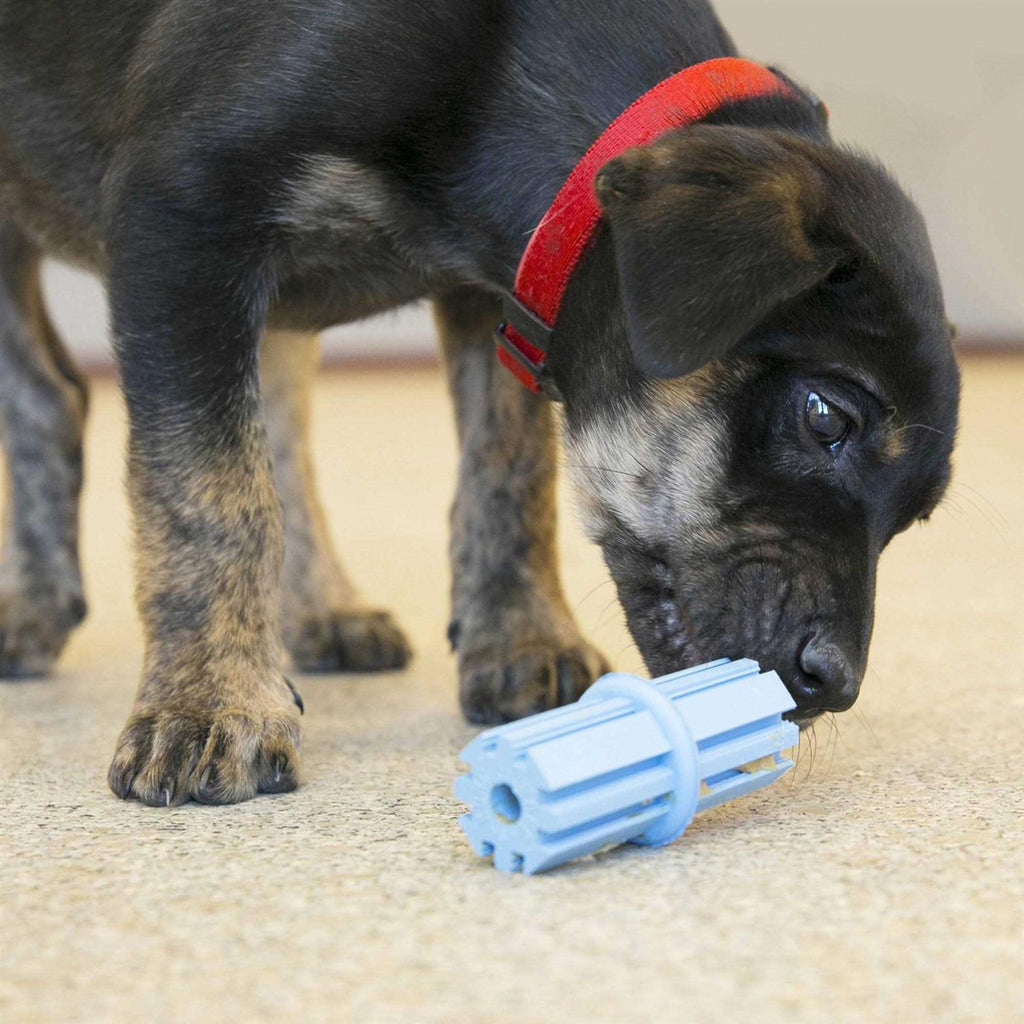 Dog Toy Puppy Teething Stick K508990