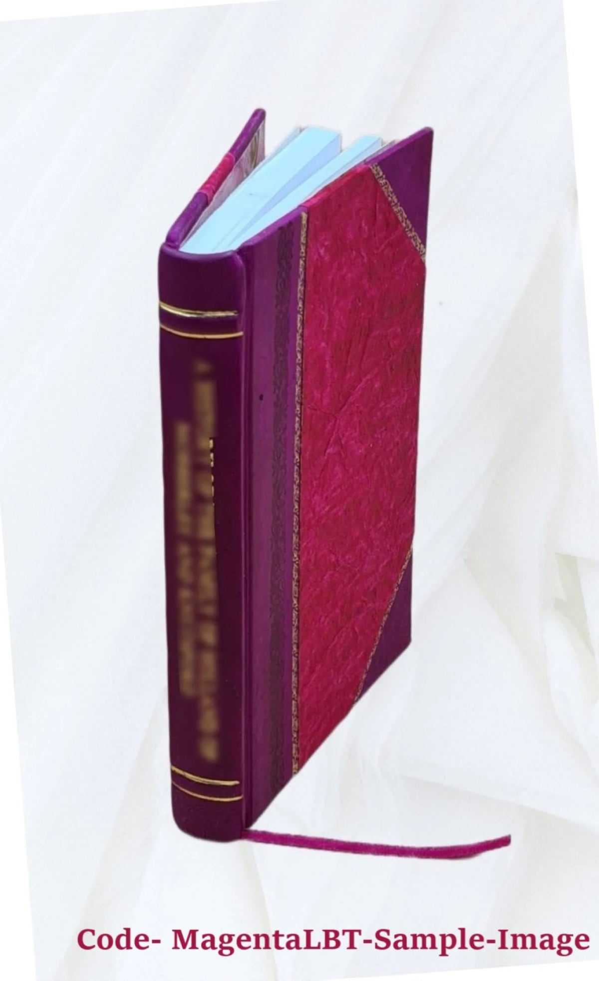 Leather Bound Book T240