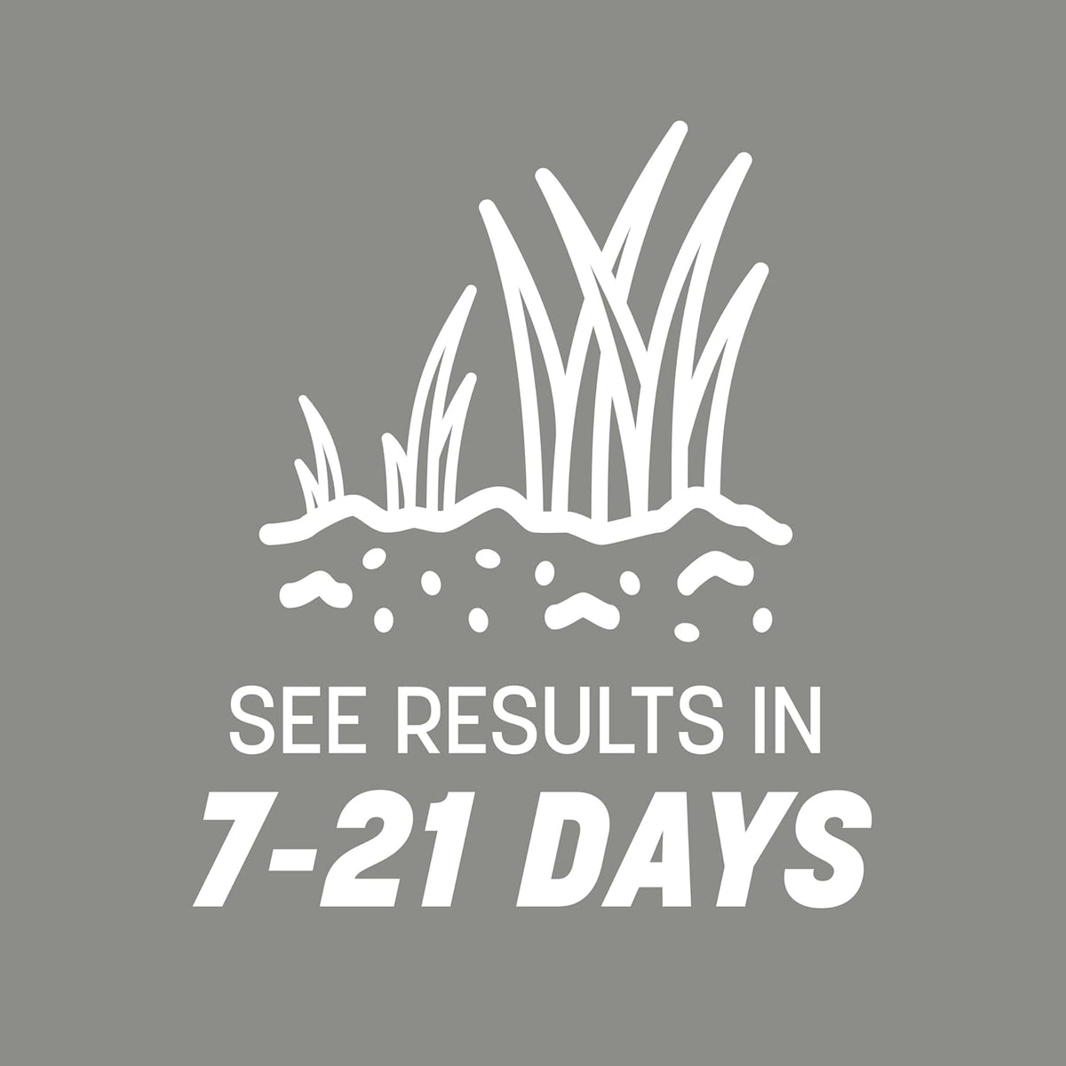 40 lb Northern Grass Seed Mix I8980