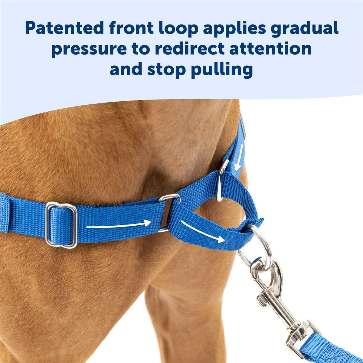 Dog Harness V4157