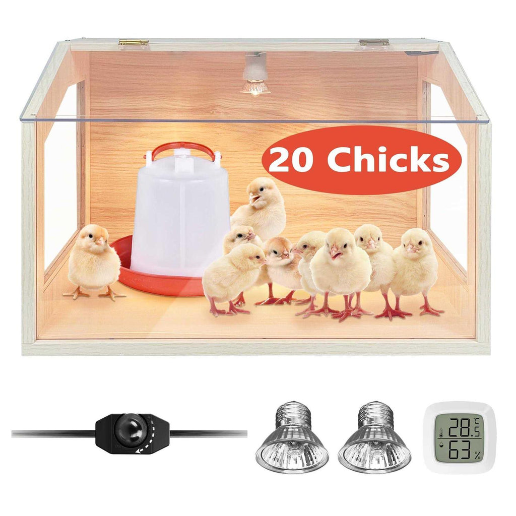 Intelligent Brooder Box with Built-in Heating Lamps T974