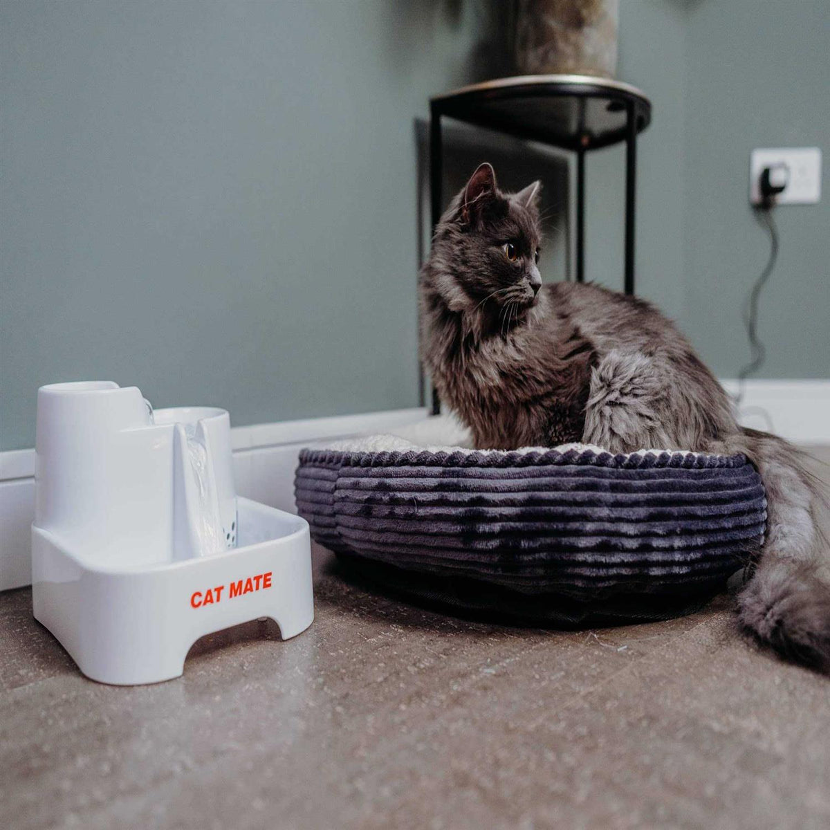Pet Fountain I9544