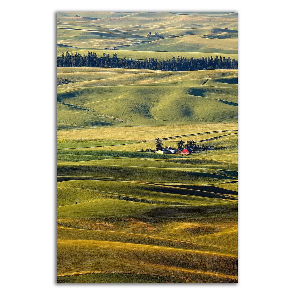 Canvas Print D9502