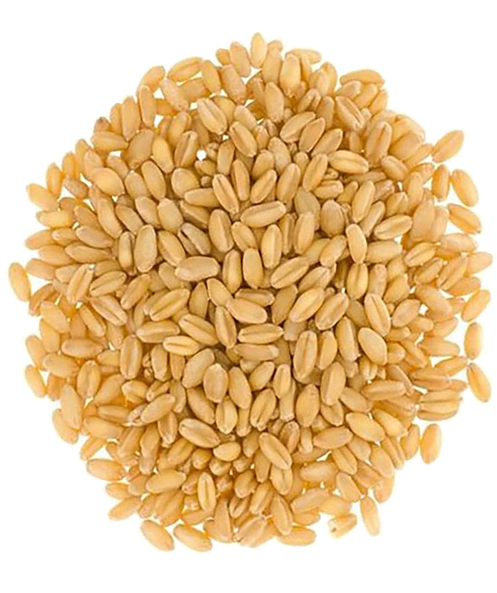 25 LBS Hard White Wheat Berries E642124