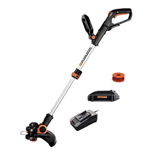 20V Cordless String Trimmer & Edger with Battery and Charger C499