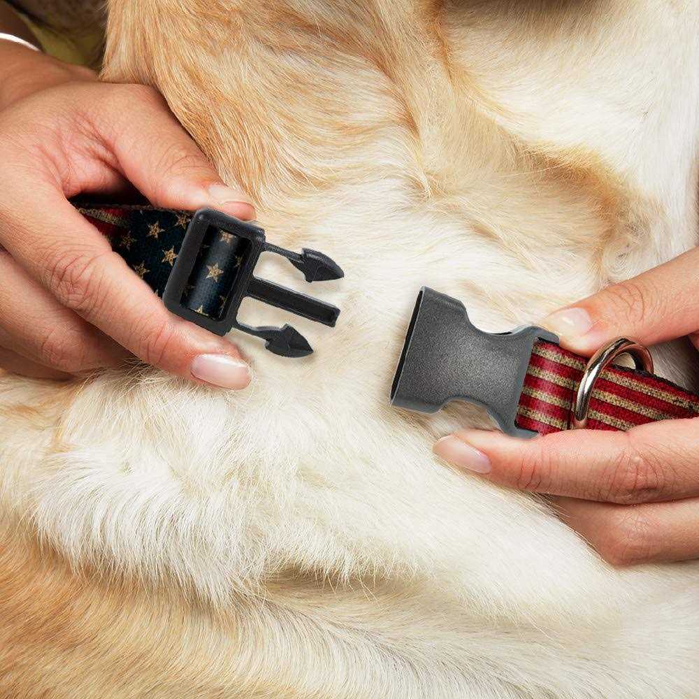 Buckle-Down Collar F35082