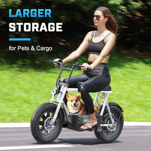 16" All Terrain Fat Tire Electric Scooter with Seat Q342