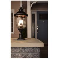Bronze 3-Light Outdoor Hanging Lantern B174770