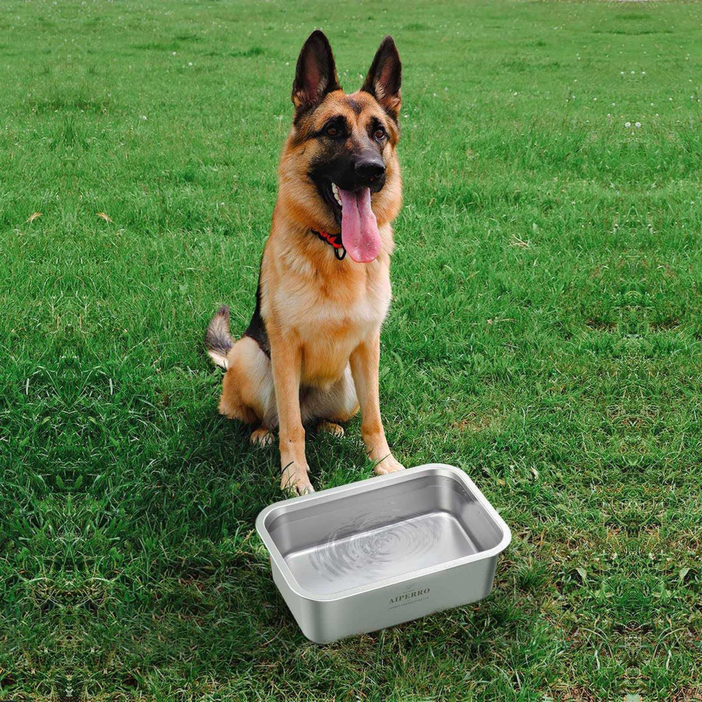 Stainless Steel Dog Bowls V257367